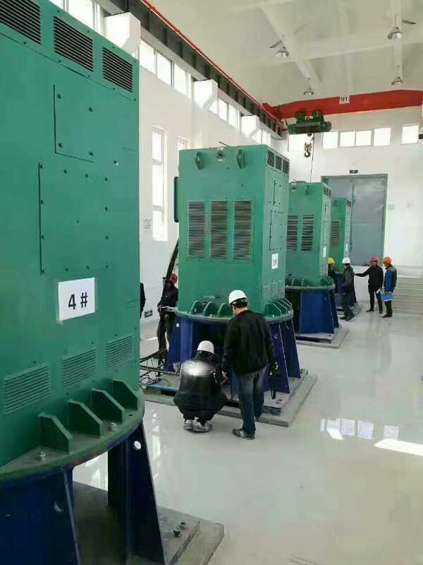 三明某污水处理厂使用我厂的立式高压电机安装现场